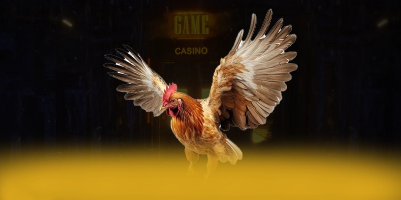 KUWIN - Thương hiệu bảo mật cao được giới chuyên môn đánh giá cao – Tìm hiểu thêm về KUWIN KUWIN - Thương hiệu bảo mật cao được giới chuyên môn đánh giá cao – Tìm hiểu thêm về KUWIN