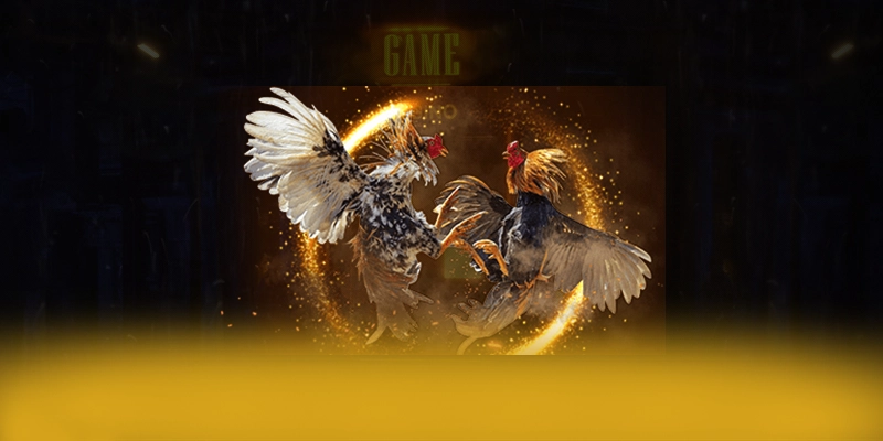 VWIN - Cổng giải trí đáng tin cậy trên thị trường – Trải nghiệm VWIN VWIN - Cổng giải trí đáng tin cậy trên thị trường – Trải nghiệm VWIN