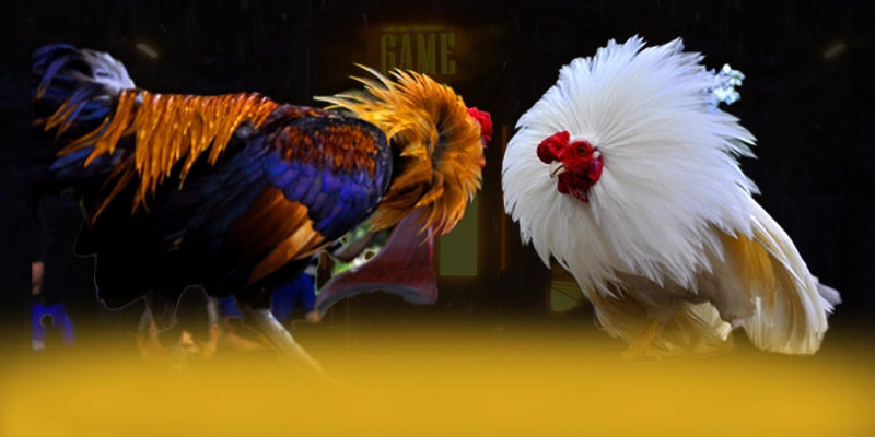 W88 - Tổng quan về thương hiệu từ cộng đồng game thủ. W88 - Tổng quan về thương hiệu từ cộng đồng game thủ.