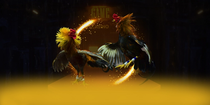 Vinbet – Cổng game được tin dùng, khẳng định vị thế hàng đầu tại Việt Nam. Vinbet – Cổng game được tin dùng, khẳng định vị thế hàng đầu tại Việt Nam.