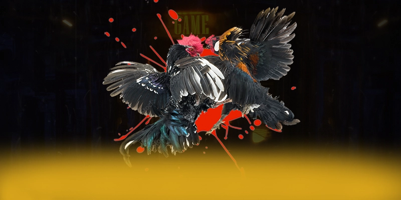 LC88 – Cổng game bài được nhiều người chơi lựa chọn, đang làm mưa làm gió trên thị trường.