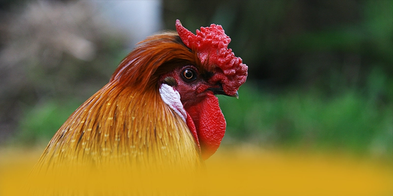 WIN79 - Hệ thống trò chơi trực tuyến có danh mục game hấp dẫn tại Việt Nam – Tìm hiểu thêm về các sản phẩm của WIN79 WIN79 - Hệ thống trò chơi trực tuyến có danh mục game hấp dẫn tại Việt Nam – Tìm hiểu thêm về các sản phẩm của WIN79