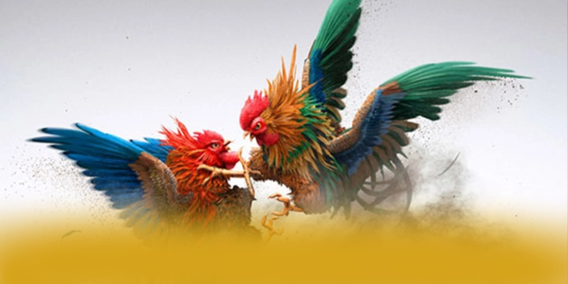 conga6789 - Nền tảng cá cược trực tuyến bảo mật cao được cộng đồng game thủ công nhận – Đánh giá chi tiết về conga6789 conga6789 - Nền tảng cá cược trực tuyến bảo mật cao được cộng đồng game thủ công nhận – Đánh giá chi tiết về conga6789