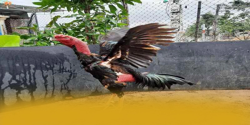 W88 - Thương hiệu game uy tín minh bạch được người chơi tin dùng – Khám phá W88 W88 - Thương hiệu game uy tín minh bạch được người chơi tin dùng – Khám phá W88