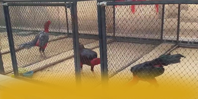 KUWIN - Tóm tắt nội dung từ trải nghiệm thực tế. KUWIN - Tóm tắt nội dung từ trải nghiệm thực tế.