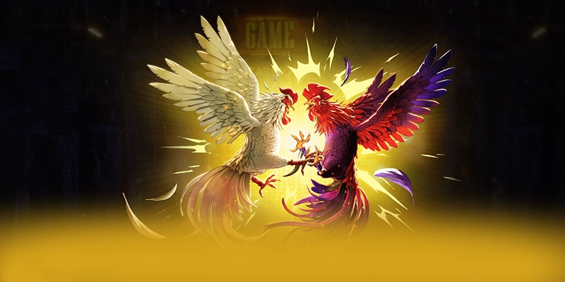 988bet - Cổng giải trí mang đến thế giới game đa dạng tại Việt Nam – Khám phá danh mục giải trí của 988bet 988bet - Cổng giải trí mang đến thế giới game đa dạng tại Việt Nam – Khám phá danh mục giải trí của 988bet