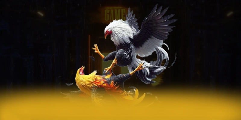 UU88 - Ứng dụng giải trí có độ an toàn vượt trội được cộng đồng game thủ công nhận – Tìm hiểu UU88 UU88 - Ứng dụng giải trí có độ an toàn vượt trội được cộng đồng game thủ công nhận – Tìm hiểu UU88