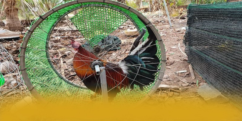 B52 – Sảnh game được yêu thích nhất, đang làm mưa làm gió trên thị trường. B52 – Sảnh game được yêu thích nhất, đang làm mưa làm gió trên thị trường.